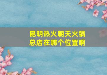 昆明热火朝天火锅总店在哪个位置啊