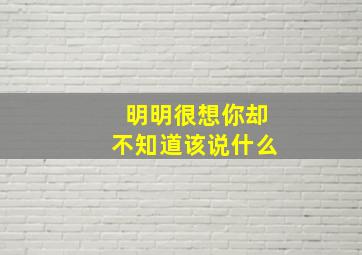 明明很想你却不知道该说什么