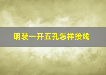 明装一开五孔怎样接线