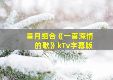 星月组合《一首深情的歌》kTv字幕版