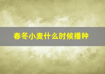 春冬小麦什么时候播种