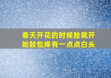 春天开花的时候脸就开始鼓包痒有一点点白头