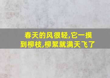 春天的风很轻,它一摸到柳枝,柳絮就满天飞了