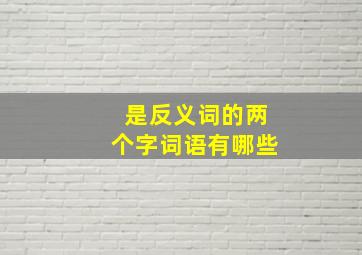 是反义词的两个字词语有哪些