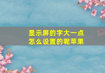 显示屏的字大一点怎么设置的呢苹果