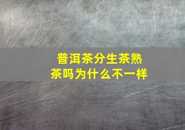 普洱茶分生茶熟茶吗为什么不一样