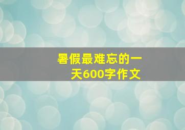 暑假最难忘的一天600字作文