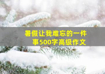 暑假让我难忘的一件事500字高级作文