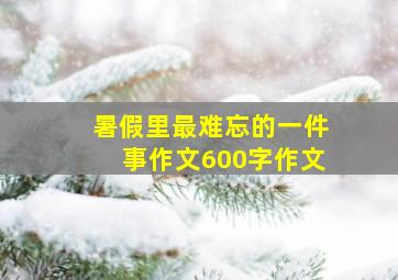 暑假里最难忘的一件事作文600字作文