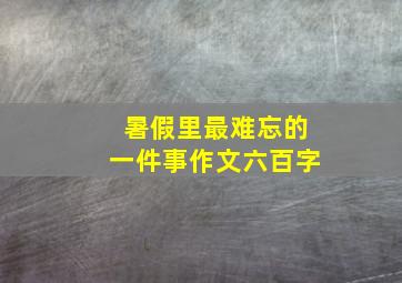 暑假里最难忘的一件事作文六百字