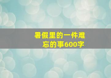 暑假里的一件难忘的事600字