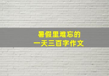 暑假里难忘的一天三百字作文