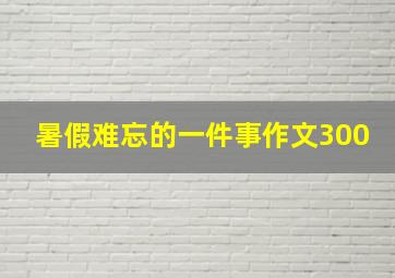 暑假难忘的一件事作文300