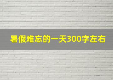 暑假难忘的一天300字左右