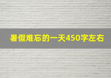 暑假难忘的一天450字左右