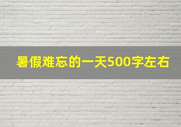 暑假难忘的一天500字左右