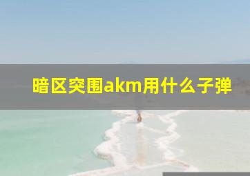 暗区突围akm用什么子弹