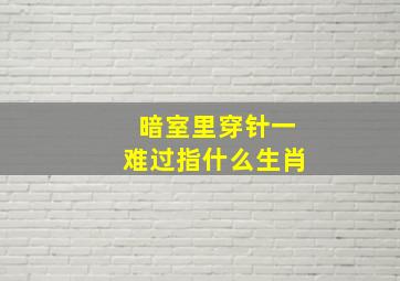 暗室里穿针一难过指什么生肖