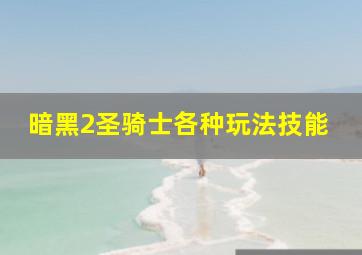 暗黑2圣骑士各种玩法技能