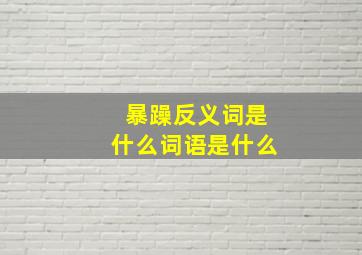 暴躁反义词是什么词语是什么