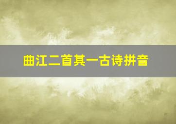 曲江二首其一古诗拼音