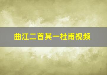 曲江二首其一杜甫视频