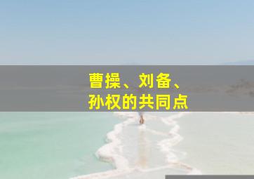 曹操、刘备、孙权的共同点