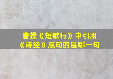 曹操《短歌行》中引用《诗经》成句的是哪一句