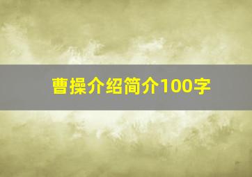 曹操介绍简介100字