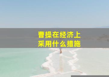 曹操在经济上采用什么措施