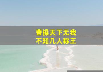 曹操天下无我不知几人称王