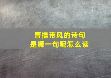 曹操带风的诗句是哪一句呢怎么读