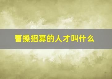 曹操招募的人才叫什么