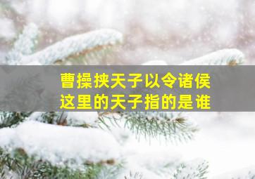 曹操挟天子以令诸侯这里的天子指的是谁