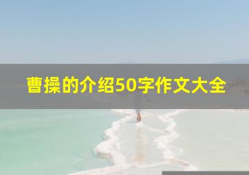 曹操的介绍50字作文大全