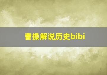 曹操解说历史bibi