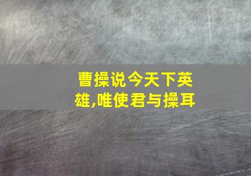 曹操说今天下英雄,唯使君与操耳