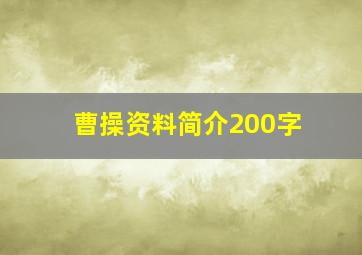 曹操资料简介200字