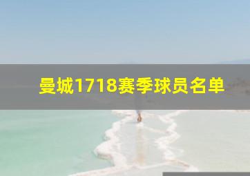 曼城1718赛季球员名单