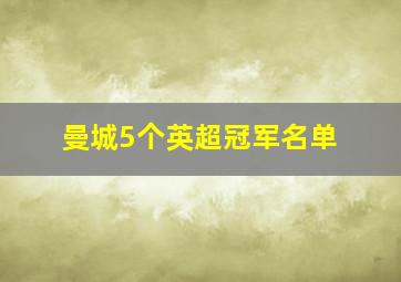 曼城5个英超冠军名单