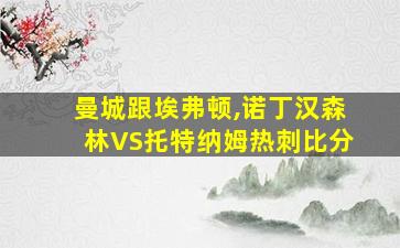 曼城跟埃弗顿,诺丁汉森林VS托特纳姆热刺比分