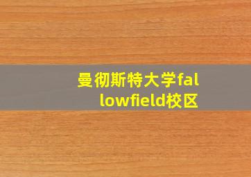 曼彻斯特大学fallowfield校区