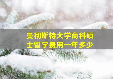 曼彻斯特大学商科硕士留学费用一年多少