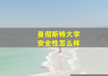 曼彻斯特大学安全性怎么样