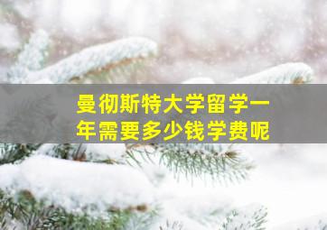 曼彻斯特大学留学一年需要多少钱学费呢