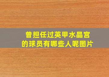 曾担任过英甲水晶宫的球员有哪些人呢图片