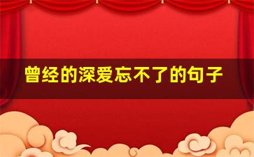 曾经的深爱忘不了的句子