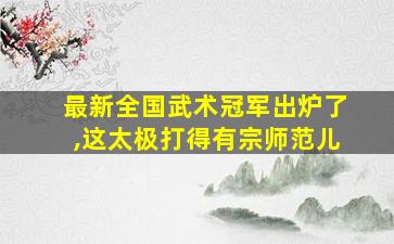 最新全国武术冠军出炉了,这太极打得有宗师范儿