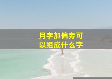 月字加偏旁可以组成什么字