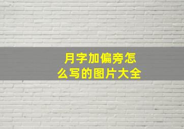 月字加偏旁怎么写的图片大全